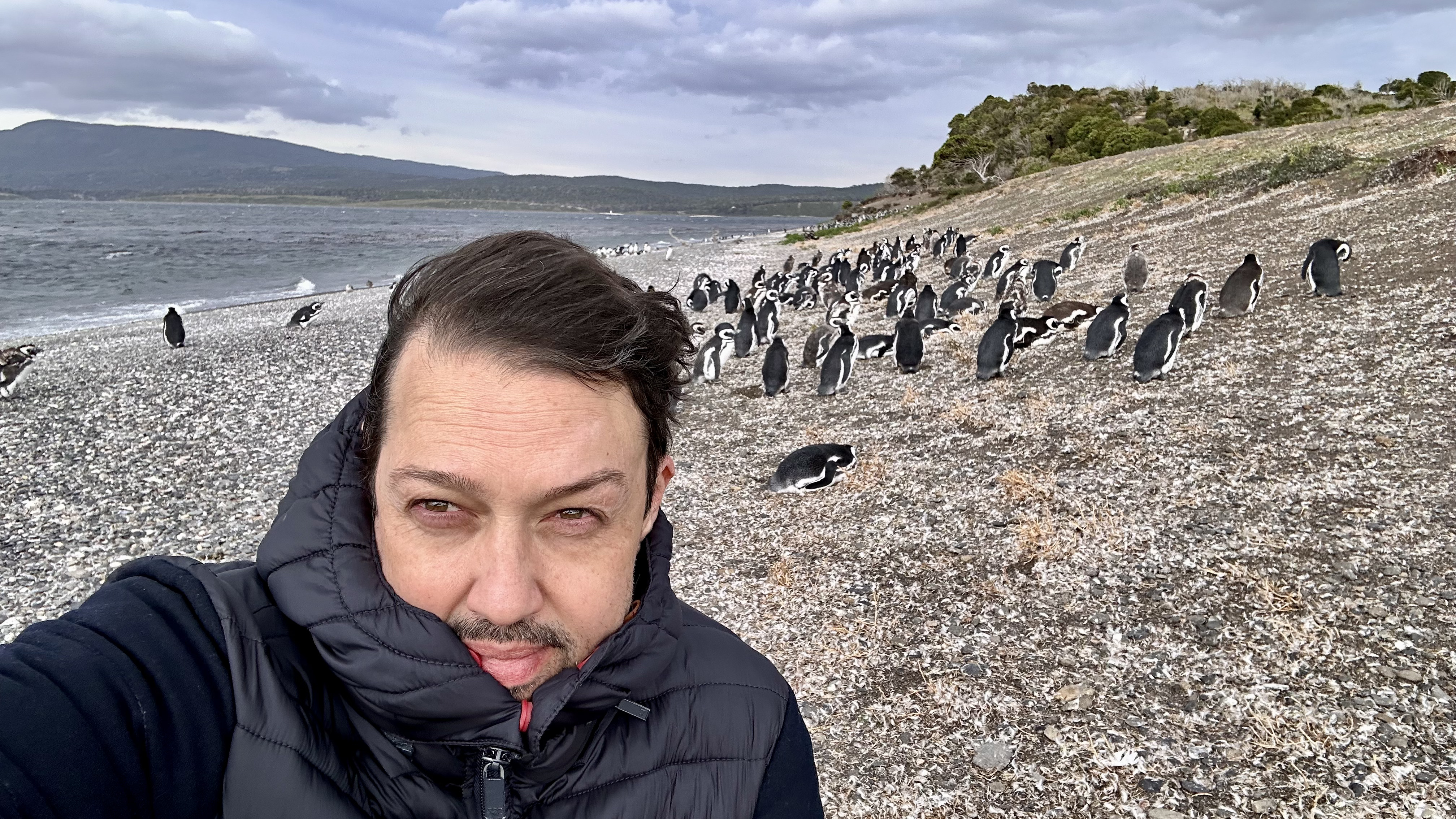 Jeff Gonzalez na praia da Isla Martillo, pinguineira próxima ao Canal de Beagle, rodeado de pinguins-de-magalhães