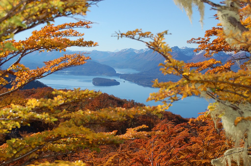 Essência da Argentina — Outono Patagônico