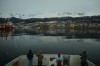Navegação pelo Canal de Beagle com lobos e farol, em Ushuaia