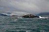 Navegação pelo Canal de Beagle com lobos e farol, em Ushuaia