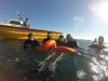 Snorkeling com lobos marinhos em Puerto Madryn