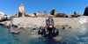 Snorkeling com lobos marinhos em Puerto Madryn