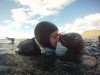 Snorkeling com lobos marinhos em Puerto Madryn